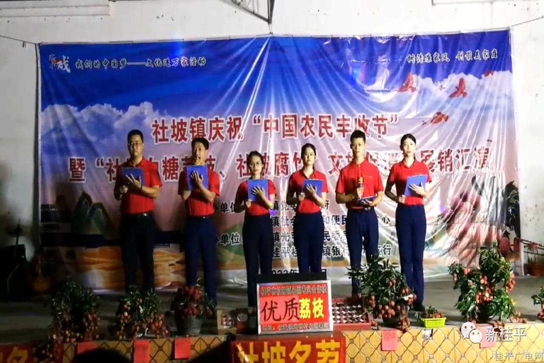 社坡镇举行庆祝“中国农民丰收节”暨“社坡白糖荔枝、社坡腐竹”文旅促销汇演活动