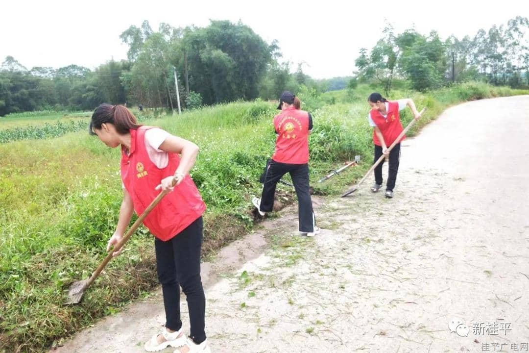 【新时代文明实践】江口镇：凝聚网格员和志愿者力量 助力乡村振兴发展