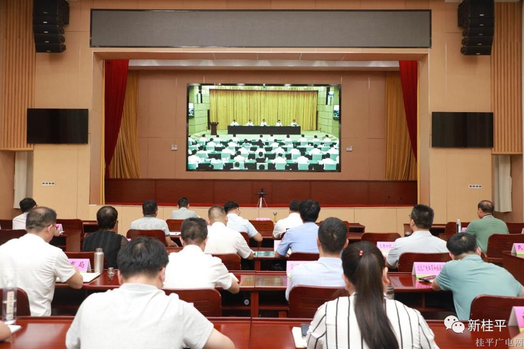 桂平市组织参加2023年自治区食品安全委员会全体（扩大）电视电话会议
