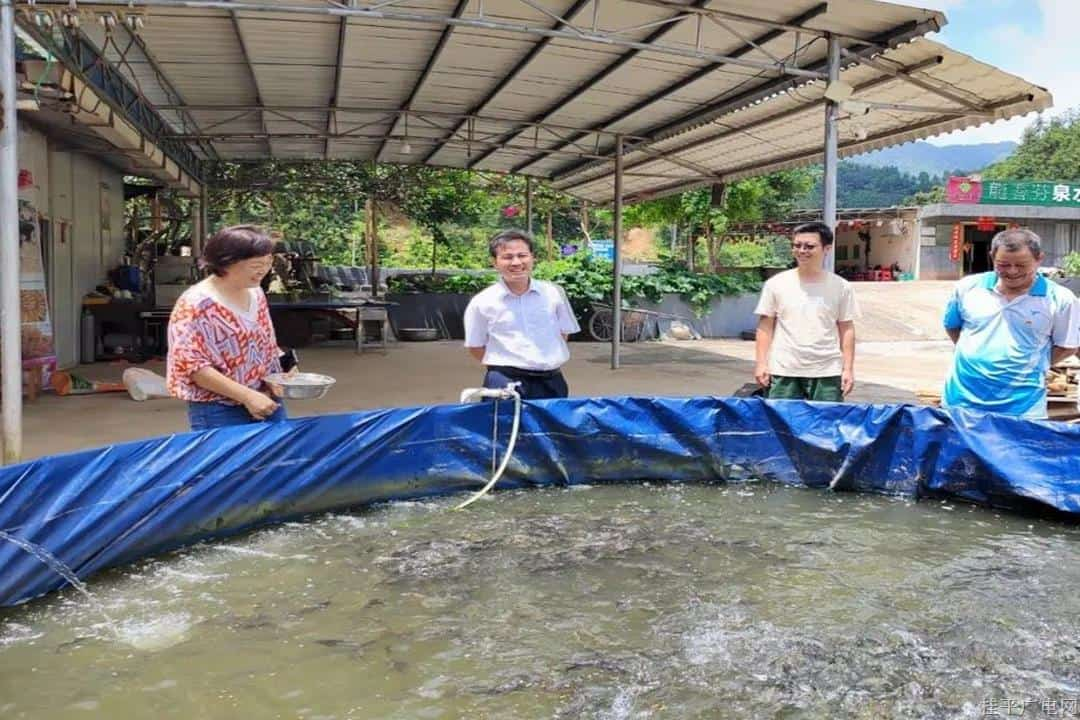 黄创优到垌心乡调研村级集体经济发展情况