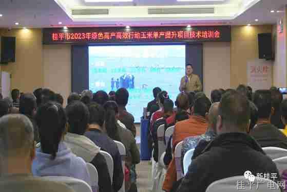 桂平市召开2023年绿色高产高效行动玉米单产提升项目现场会及培训会