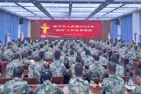 桂平市开展2024年“两兵”工作业务培训