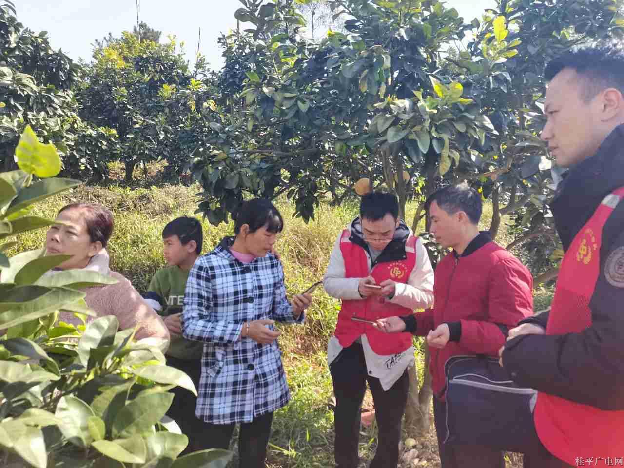 微信图片_20240102104052_副本.jpg 微信图片_20240102104052_副本.jpg