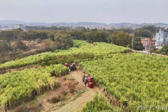 马皮乡西河村：改善基础设施 夯实产业根基