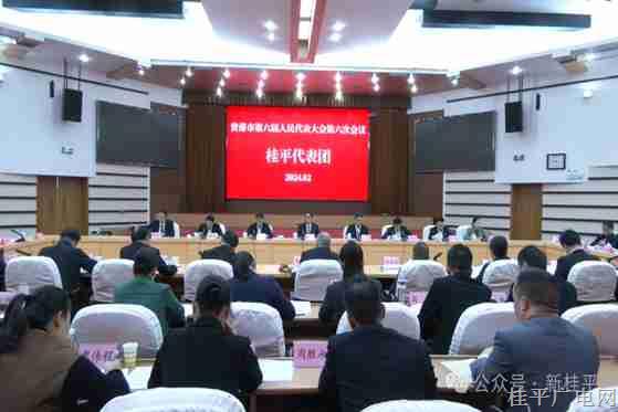 彭东光参加桂平代表团审议
