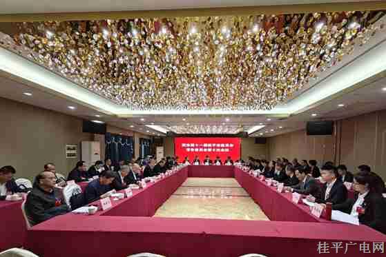 【聚焦两会】桂平市政协召开第十一届常务委员会第十次会议