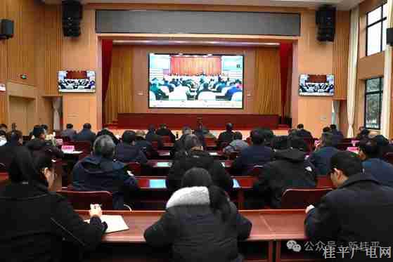 桂平市组织收听收看贵港市春节前后低温雨雪冰冻灾害防范应对工作电视电话会议