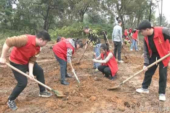 桂平市多部门联合开展联建共联义务植树活动