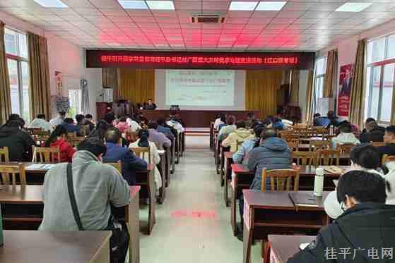 学习贯彻习近平总书记对广西重大方略要求专题宣讲活动走进江口镇