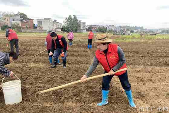 木圭镇：春耕助农正当时 撂荒耕地换新颜