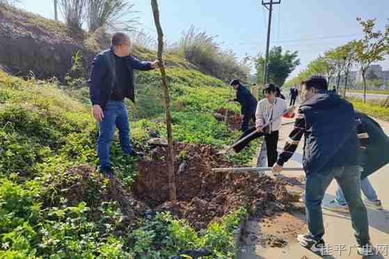 【新时代文明实践】春风催新绿，植树正当时，我市掀起植树热潮！