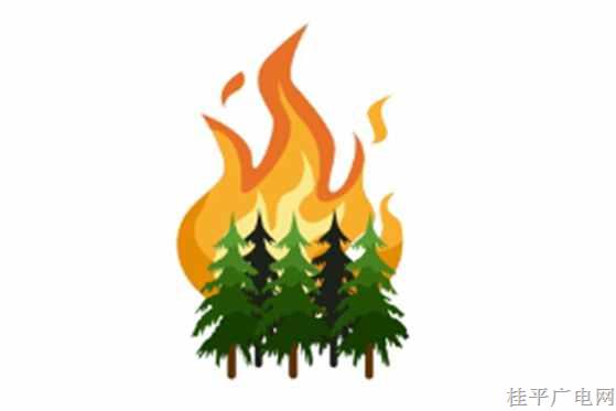 图“说”森林防火，知道这些很重要！