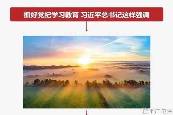 抓好党纪学习教育 习近平总书记这样强调