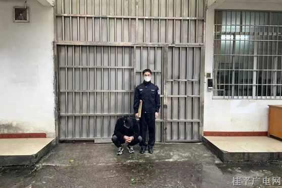 男子一人分饰两角 诈骗同学10万余元