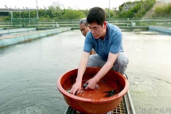 【劳动者之歌】陈寿福：做渔业的推广者 当养殖户的知心人