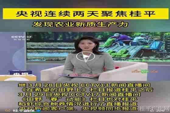 央视连续两天直播关注桂平农业发展动态