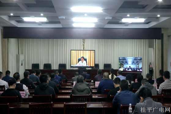 桂平市组织参加全区旅游市场秩序综合整治工作电视电话会议