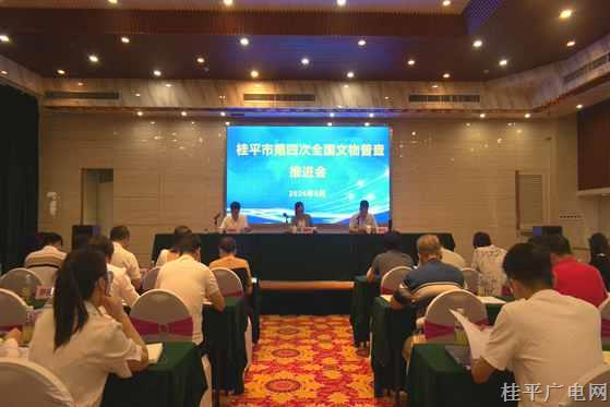 我市召开2024年第四次全国文物普查推进会