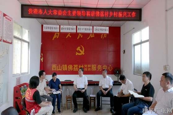彭东光到我市开展人大工作和乡村振兴工作调研