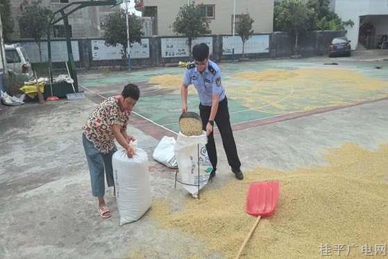 罗播派出所“化身”晒粮场 敞开大门迎丰收