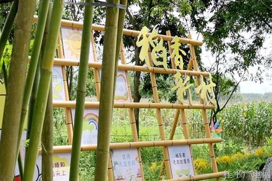 石龙镇：“新农人”的“稻”途探索