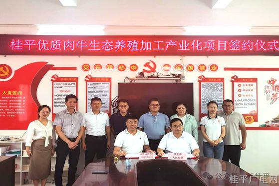 项目总投资5亿元！优质肉牛生态养殖加工产业化项目落户桂平