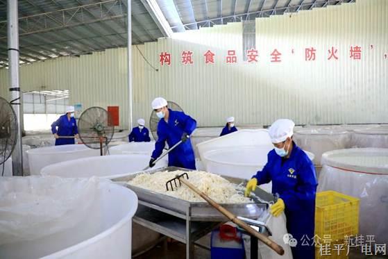 【奋进强国路 阔步新征程】桂平：壮大竹笋种植，赋能乡村振兴