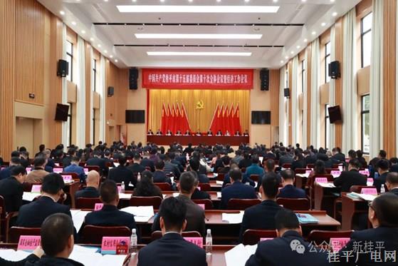 中国共产党桂平市第十五届委员会第十次全体会议公报