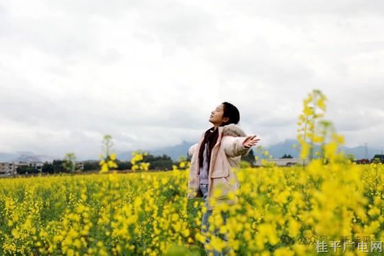 石龙镇：春日来信 花已抵达