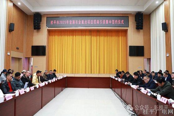 总投资额12.28亿元！ 我市成功签约13个2025年设施农业重点项目
