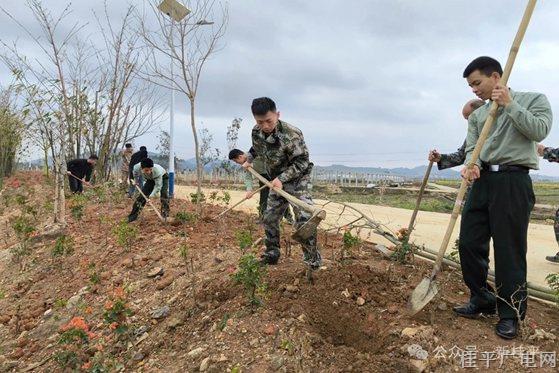 我市组织退役军人开展“穿上军装保家卫国 脱下军装建设家乡”植树活动