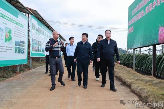 水利部农村水利水电司调研组到桂平市调研