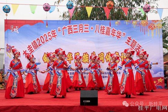 木圭镇：欢歌乐舞三月三 凝心共绘民族情