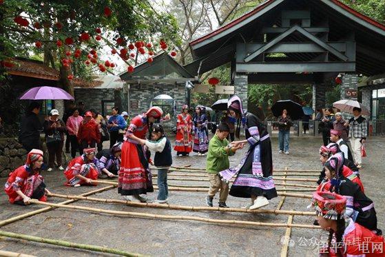 桂平西山三月三 茶香四溢共狂欢