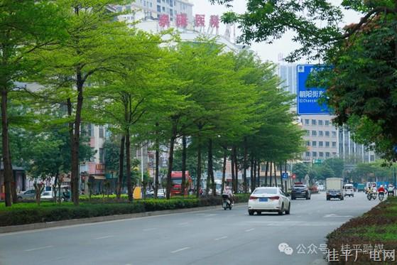 桂平“五乱”整治：治的是堵心的乱，求的是舒心的活
