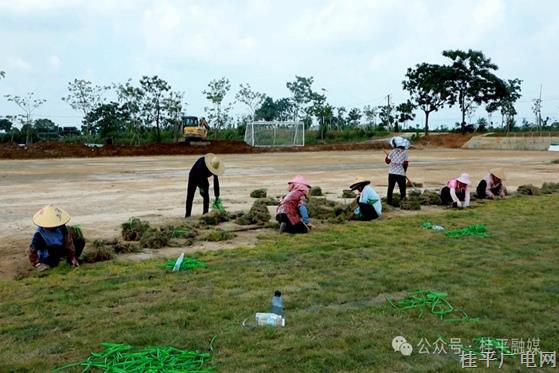 场地升级 踢球更稳！石龙镇新村村稻香足球场加速建设中